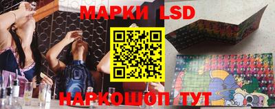 PSILOCYBIN Дубна