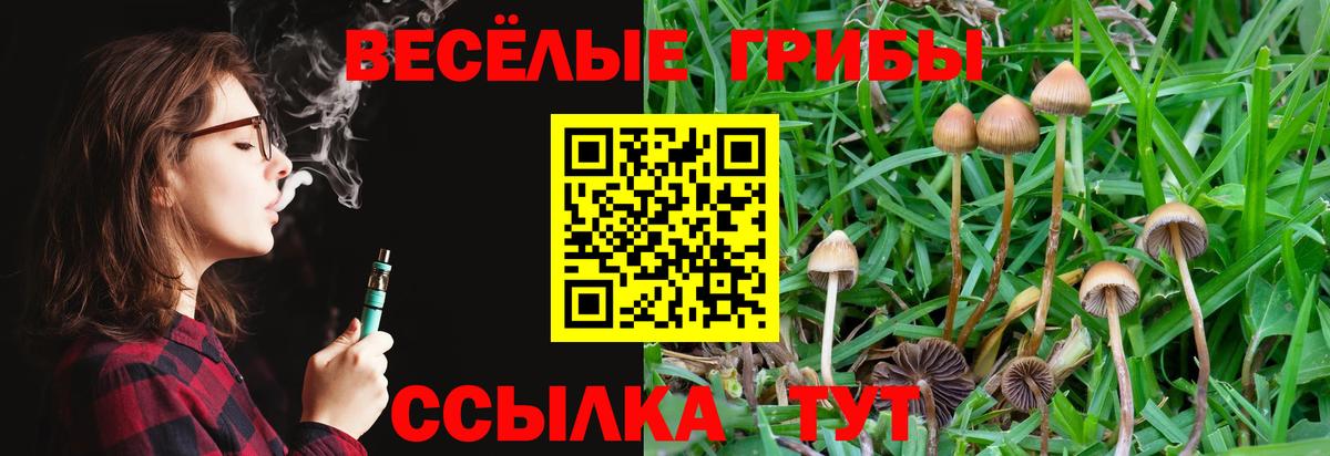 Москва  Галлюциногенные грибы MAGIC MUSHROOMS  Вход с VPN 