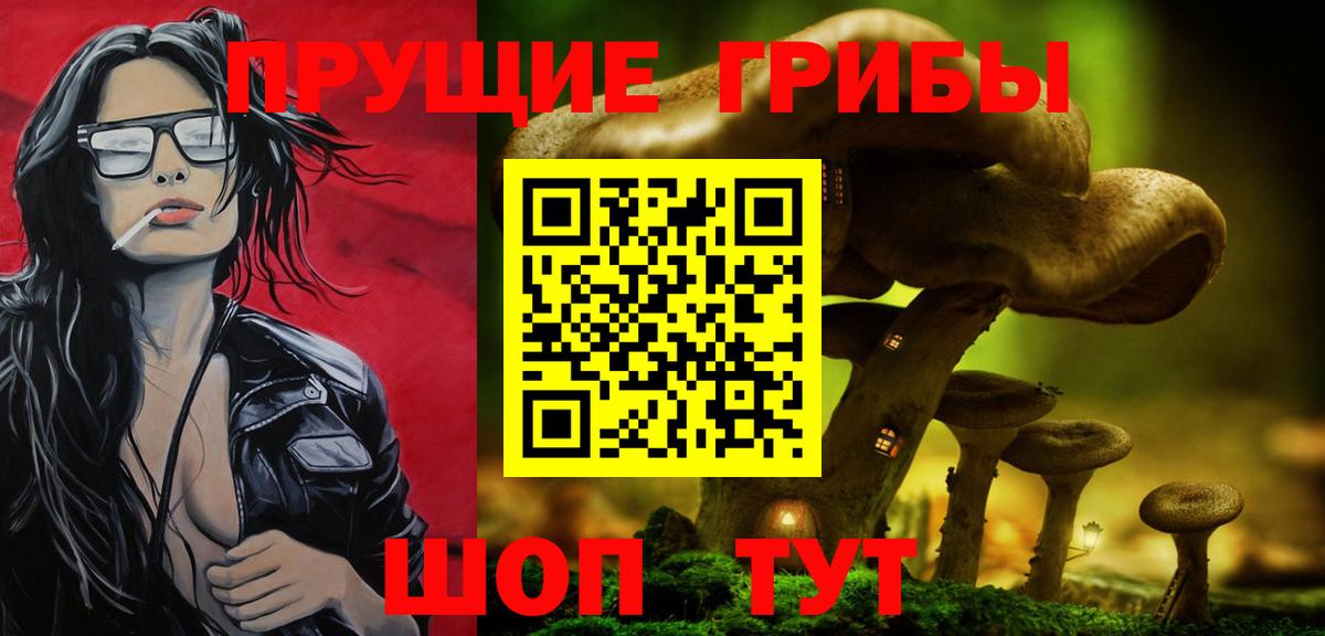 Галлюциногенные грибы Psilocybine cubensis Москва